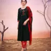 SHANVI